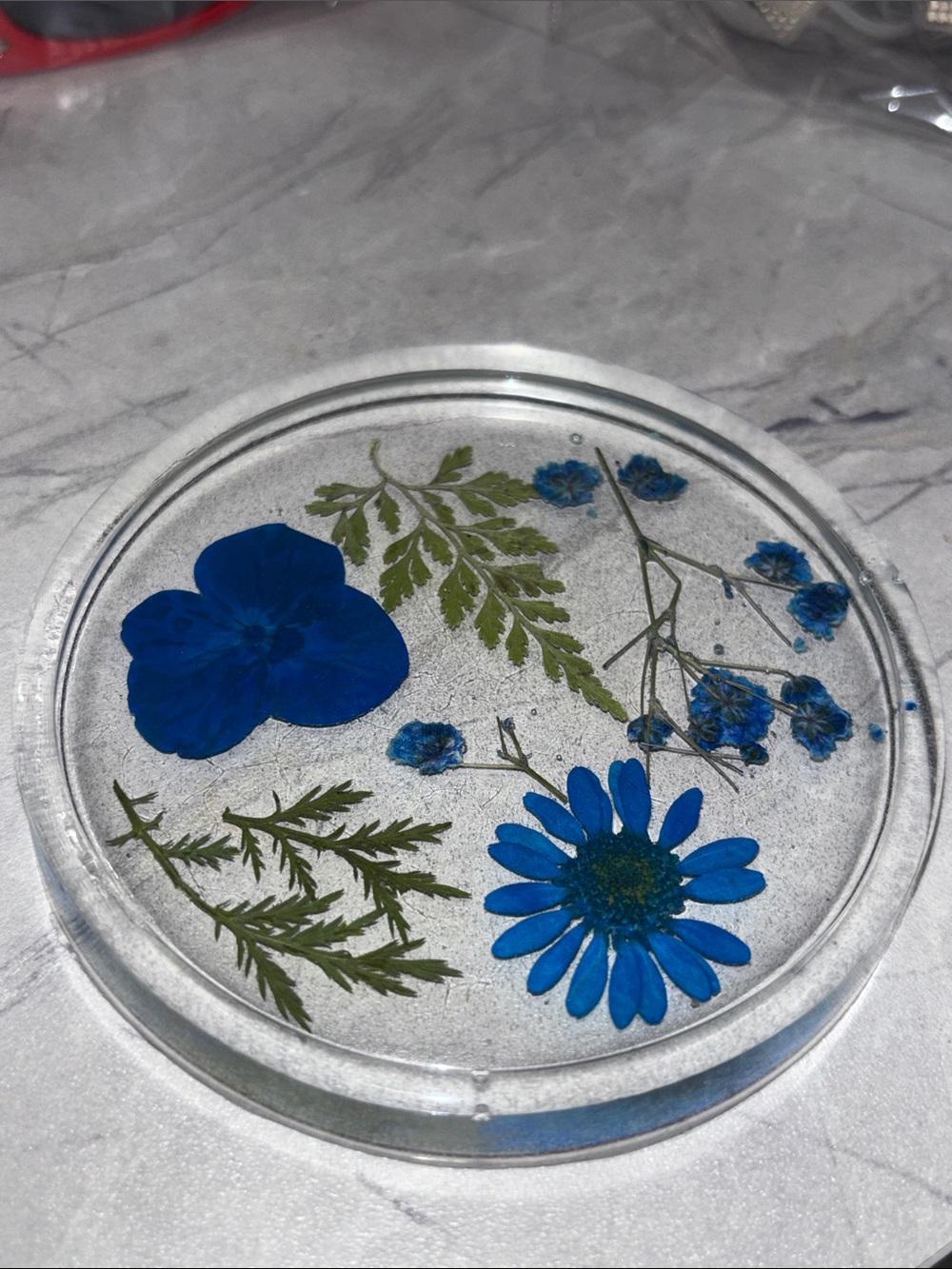 NORE’S NOVELTIES Handcrafted AquariCoaster with Real Flowers & Plants